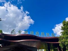 -黄海国家森林公园