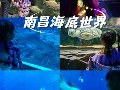 -南昌融创海世界