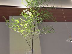 -东园小馆·早茶·淮扬小炒(印象汇店)