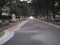 -贮水山儿童公园