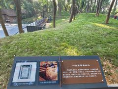 -马王堆汉墓遗址