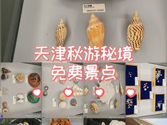 -天津古林古海岸遗迹博物馆