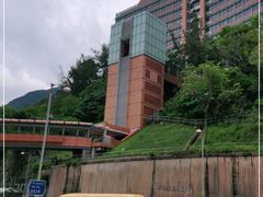 -香港大学