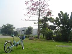 -北京师范大学(珠海校区)