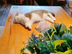 -IFIF 如果花園(宽厚里店)