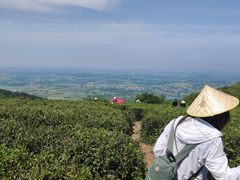 -浮槎山
