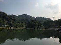 -广州市帽峰山景区