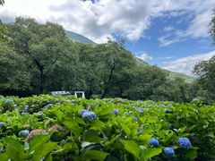 -苍山世界地质公园·石门关大峡谷