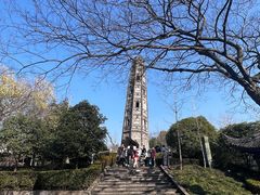 -上海佘山国家森林公园天马山园