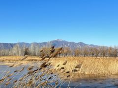-野鸭湖国家湿地公园