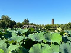 -西海子公园