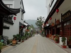 -长兴慧子土特产茶行