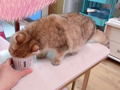 -乐纯(苹果社区店)