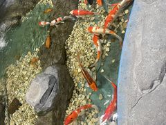 -嘉兴海底世界