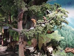 -重庆中国三峡博物馆(重庆博物馆)