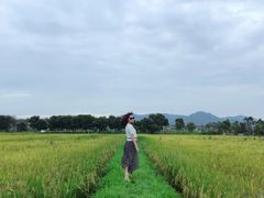 -光明小镇欢乐田园
