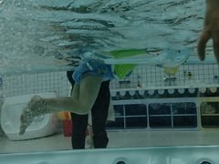 -蓝鲸奇亲子游泳俱乐部