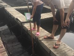 -海上驿站渔家菜馆