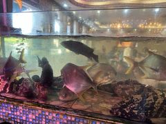 -巽寮印象美食部落餐厅·海鲜·地方特色菜(惠州体验店)