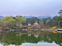 -香山公园
