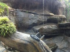 -厦门园林植物园-植物园滴水山房