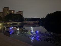 -新江湾城公园