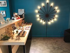 -Trend1881视光·蔡司视觉(领展广场店)