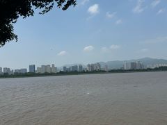 -江心屿景区