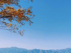 -野鸭湖国家湿地公园