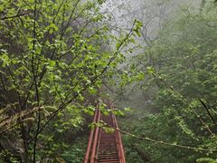 -青峰峡国家森林公园