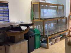 -十八字金·银饰·开蚌DIY·手工体验团建(世纪金源店)