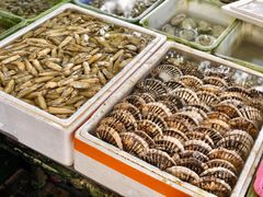 -南沙十九涌渔人码头-南门