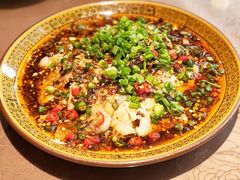 -正宗来凤鱼璧山兔(花卉园店)