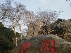 -武汉大学-樱园