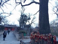 iphone_upload_pic-龙泉寺