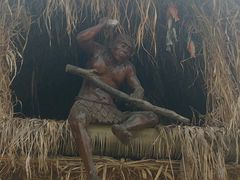 -合肥滨湖国家森林公园