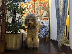 -沏点Trattoria意大利餐厅(新街口店)