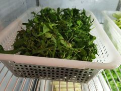 -品品野菜铜火锅(文汇路店)