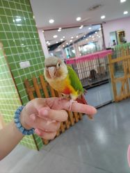 -Moni星球萌宠·小马宝莉·灵蛇·高端高阶全萌宠互动体验俱乐部(红豆国际广场店)