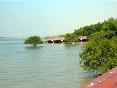 -宝安西湾红树林湿地公园