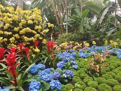 -北京植物园-展览温室