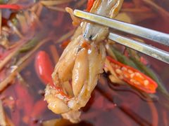 -盐井记·自贡美蛙鲜锅兔(中和店)