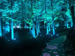 -航空小镇温泉