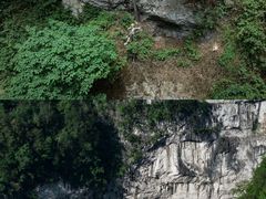 -百色大石围天坑群