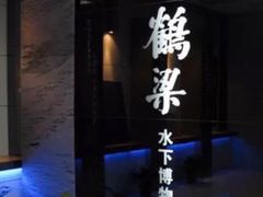 -白鹤梁水下博物馆