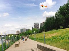 -长白岛森林公园