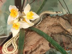 -南宫五洲植物乐园