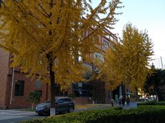 操场-西北大学(桃园校区)