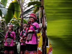 -呀路古热带植物园