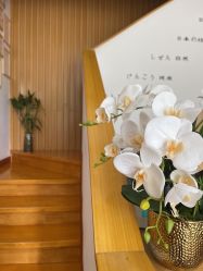 -宥莉·ULLY 痘敏肌•科技皮肤管理中心